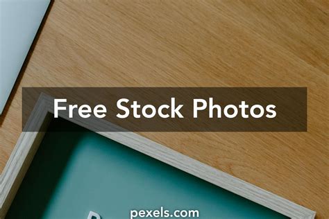 Political Science Background 的图像结果