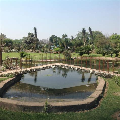 SARKARIA CACTUS GARDEN (2025) All You Need to Know BEFORE You Go (with ...