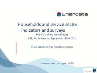 File:Households and Service Sector Indicators and Surveys.pdf - energypedia