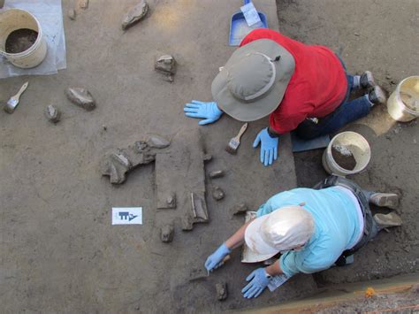 Anthropology Bachelor's Degree Program in New York | Anthropology Major