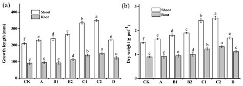 The Enzyme Activity of Dual-Domain β-Propeller Alkaline Phytase as a ...