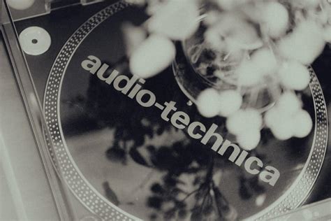 Image result for Editing Audio Using Audacity