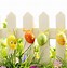 Image result for Easter Background Graphics