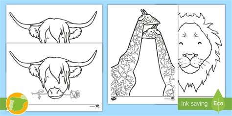 Dibujos de animales para colorear (teacher made) - Twinkl