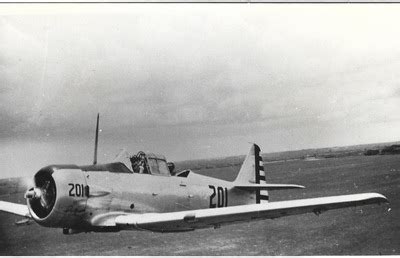 Image result for Embry-Riddle Airplanes