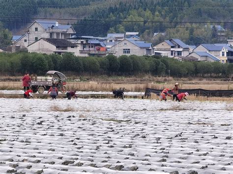 【春天里的陕西】汉中市城固县:春耕备耕生产忙 不负农作好时光 - 西部网（陕西新闻网）