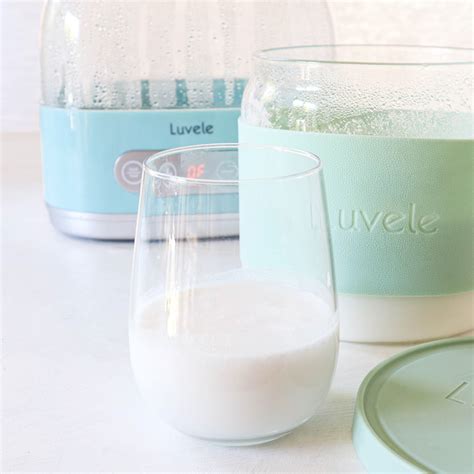 Homemade coconut kefir (using Easy Kefir powder) - Luvele US