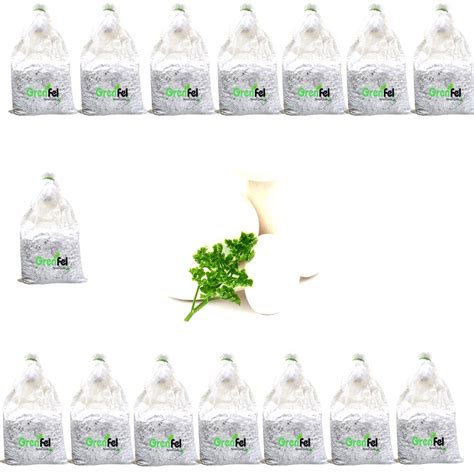 Mushroom 3kgGm White Milky Mushrooms 1st Generation Spawn/Seeds ...