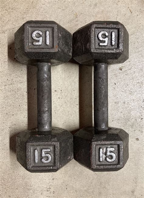 15 lb dumbbells dumbbell set x2 30 lbs total weights weight pair pounds ...