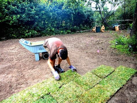 How to Lay Sod | The Grass Outlet