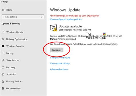 How to Fix Update Issues 的图像结果