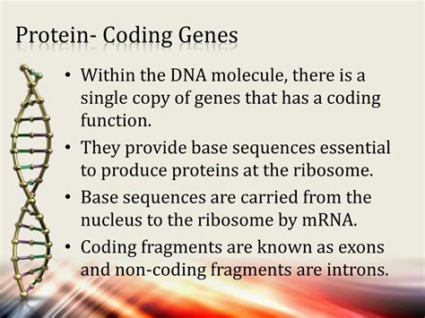 DNA Coding of Protien Tutorial 的图像结果