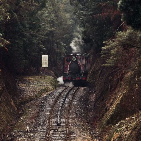 Cryptic Falls Express - West Coast Wilderness Railway