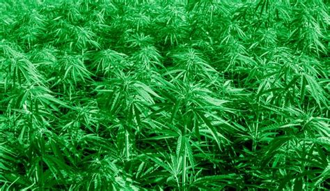 Image result for Addiction Recovery Training Logo