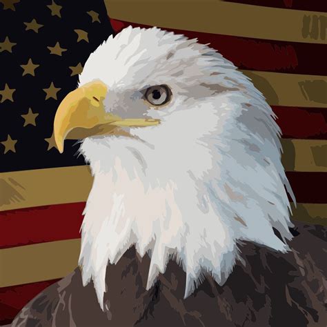 A symbol of freedom the bald eagle on canvas measuring etsy – Artofit