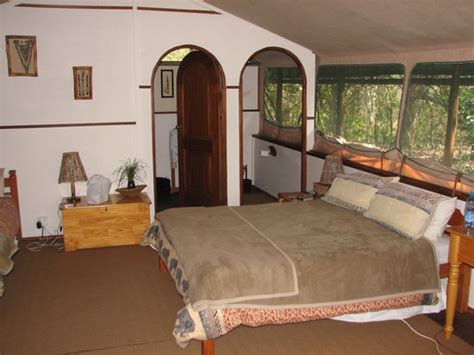 The 10 Best Hotel Deals in Tembe Elephant Park (Jun 2022) - Tripadvisor