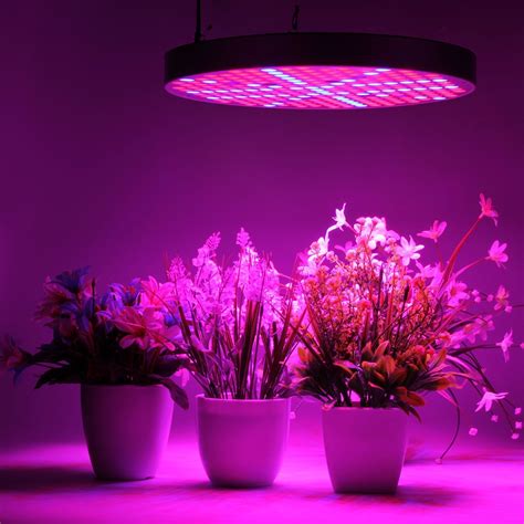 How Does Light Affect Plant Growth Experiment Results at Roger Monday blog