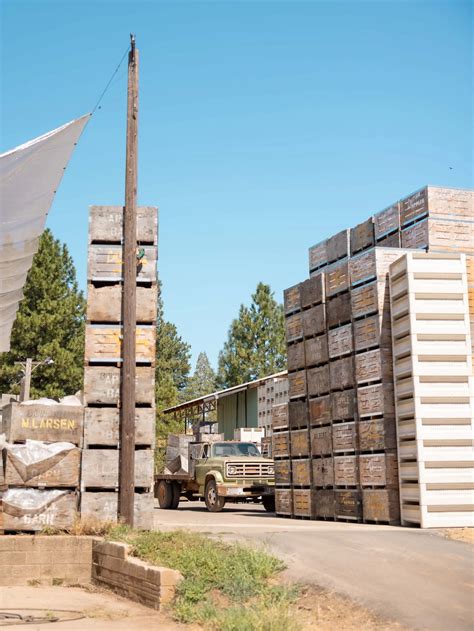 Ultimate Guide to Apple Hill, California