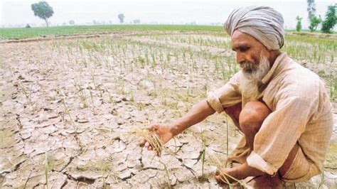 Opinion | Six steps to tackle farm distress and make farming profitable
