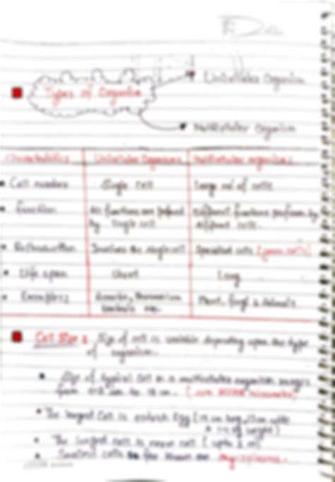 Image result for Class 9 Un Example