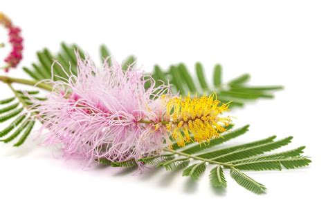 Kumar Mangalam Birla House, Price, Net Worth, Latest News, and More