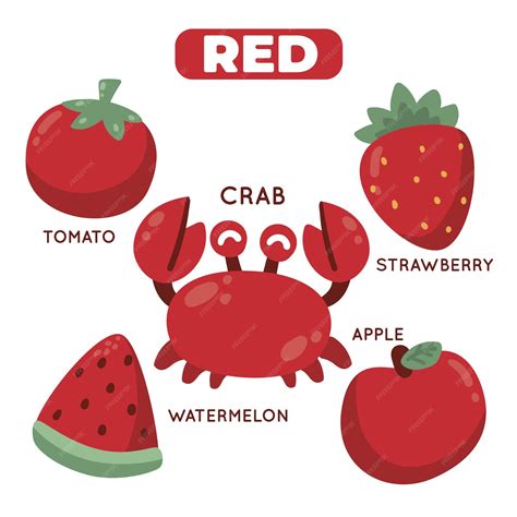 Color rojo y vocabulario en inglés. | Vector Premium