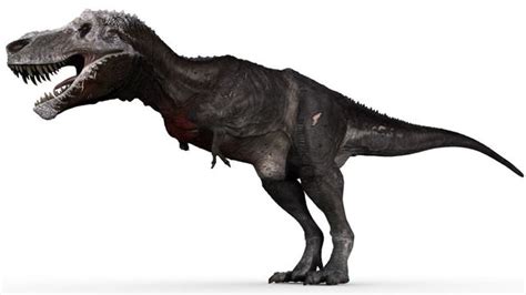 Image result for Stumpy T-Rex Render
