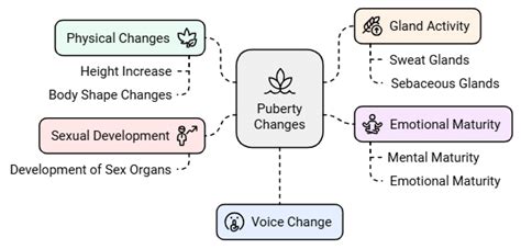 Short Notes: Reaching The Age of Adolescence - Science Class 8 PDF Download