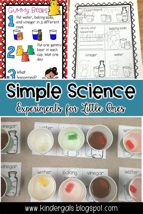 Image result for Science Project Easy Method