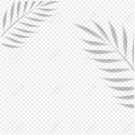 Image result for Shading Transparent