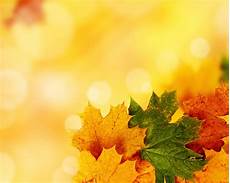 Fall Backgrounds Powerpoint by Yellow Autumn Backgrounds For Powerpoint Nature Ppt Fall Backgrounds Powerpoint