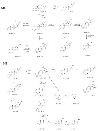 Structural Investigation of Betulinic Acid Plasma Metabolites by Tandem ...