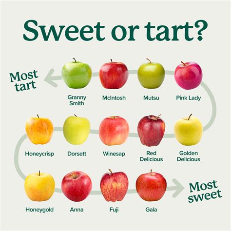 When are apples ripe the ultimate guide – Artofit