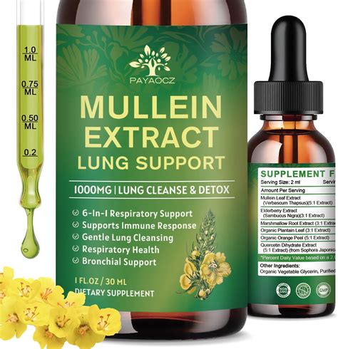 Amazon.com: (2 Pack) 6 In 1 Mullein Drops for Lungs, Organic Mullein Leaf Extract Tincture for ...