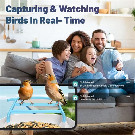 AUXCO Bird Feeder with Camera, 2023 Newest Dual Solar India | Ubuy