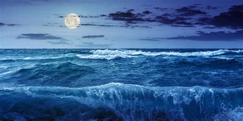 Image result for Fast-Rising Tide