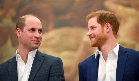 Prince William and Prince Harry made history by getting surnames ...