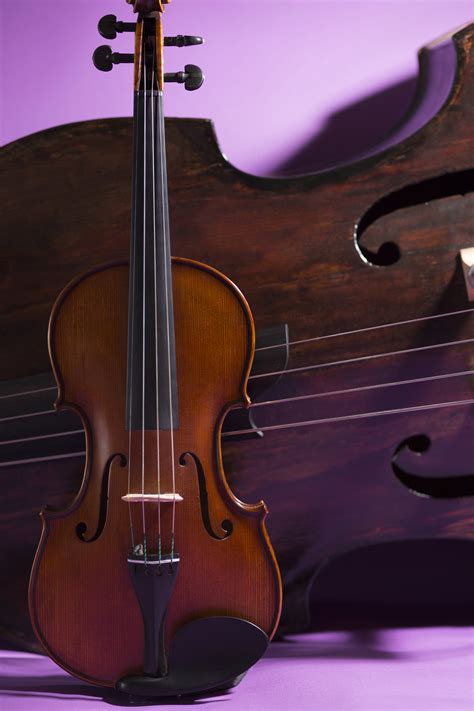 Image result for Orchestral String Instruments