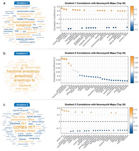 Brain Myelin Covariance Networks: Gradients, Cognition, and Higher ...