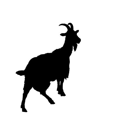 Image result for Best WA. Some Python Projects