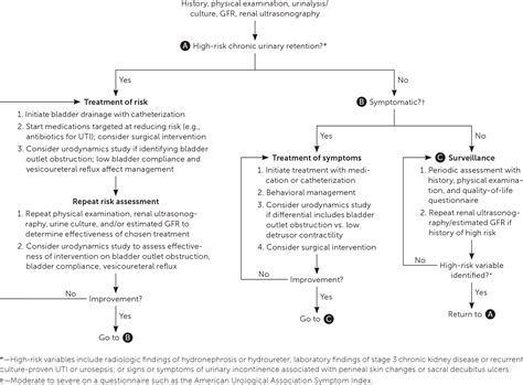 Urinary Retention in Adults: Evaluation and Initial Management | AAFP