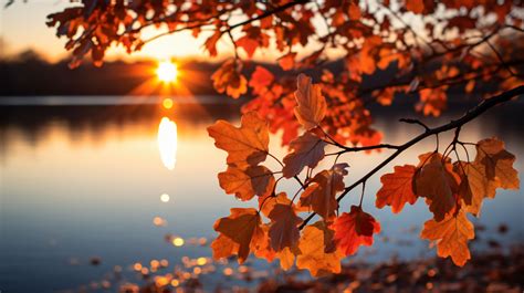 🍁Fall season desktop wallaper, 4K desktop wallpaper🍁 | Laptop ...