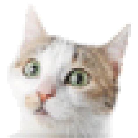 Pixel cat png Vectors - Download Free High-Quality Vectors from Freepik ...