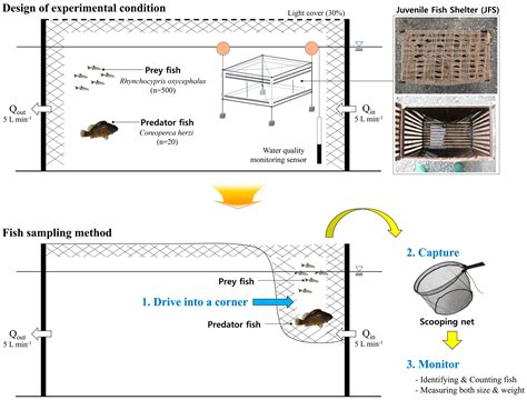 Basic Design of Experiments 的图像结果