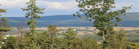 Dimon Funeral Home & Cremation Service, Inc.