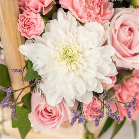 Brand New Day – The Flora