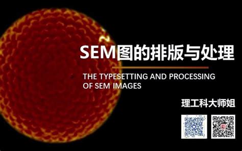 如何获得高质量的SEM图像_分析