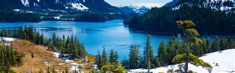 Holiday Accommodation & Lettings in Alaska from 8.599 ₹ | HomeToGo
