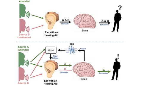 Image result for EEG Source Localization
