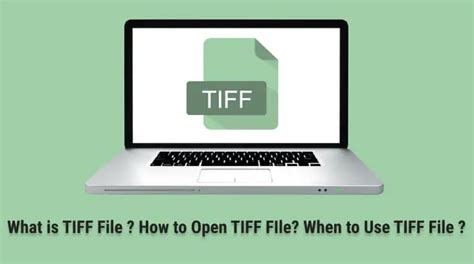 Image result for TIF Example
